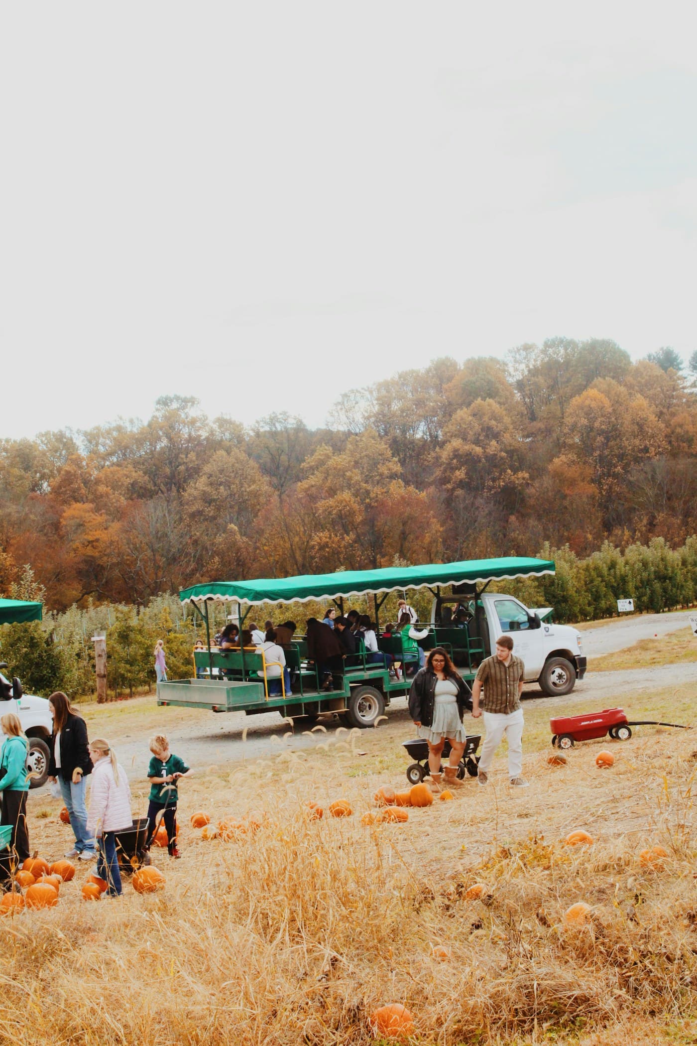 Families riding a hay wagon through a pumpkin patch